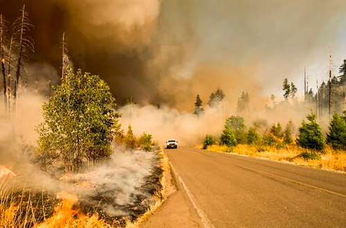 Qu hacer al volante durante un incendio forestal?